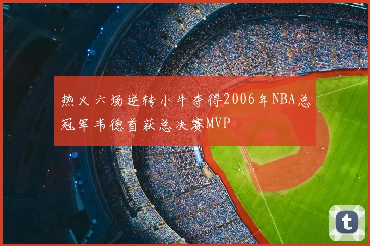 热火六场逆转小牛夺得2006年NBA总冠军韦德首获总决赛MVP